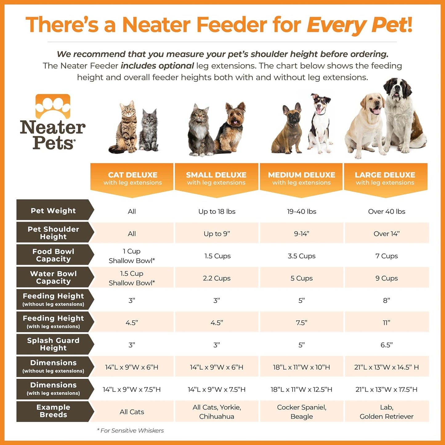 Neater Feeder Deluxe Mess-Proof Elevated Dog Bowls for Medium Dogs (19–40 Lbs), 2 Height Adjustable (10” & 12.5”) No-Spill Raised Dog Bowl Stand, Stainless Steel Food Bowl Set, Made in USA, Grey