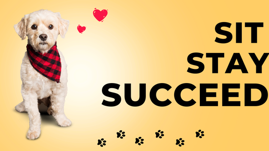 How to Train your dog E-Book guide